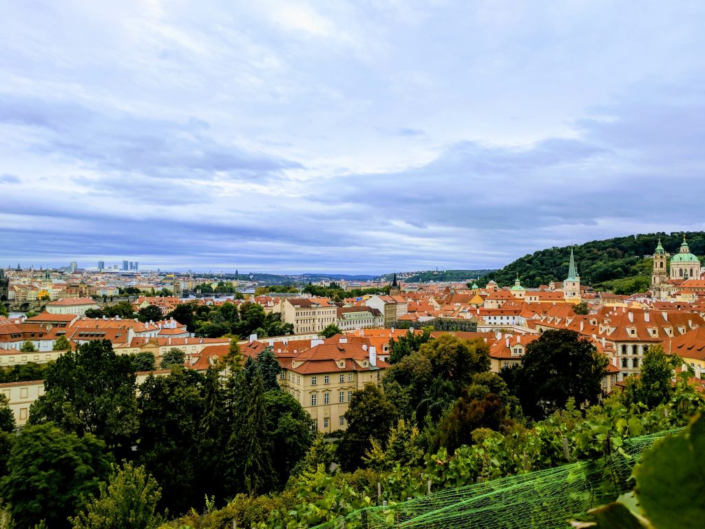 A landscape view over the river from a vineyard in Prague
