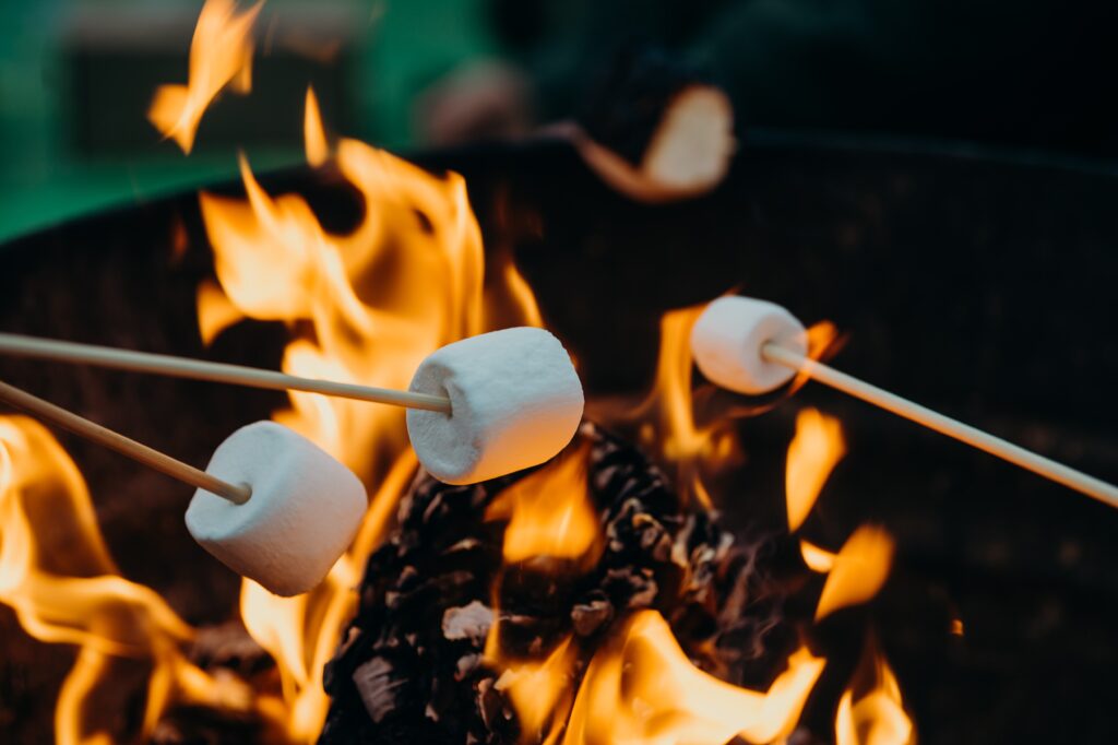 toasting marshmallows in fire pit