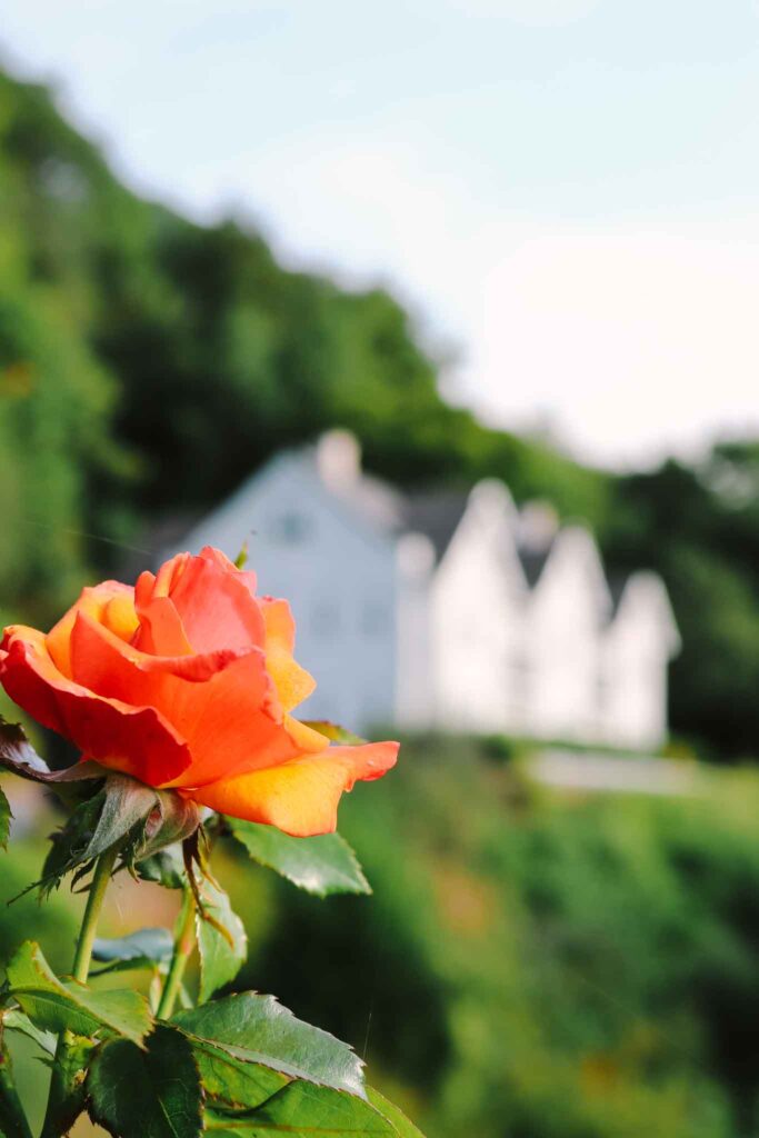 The Coach House at the Cottage in the Wood Malvern