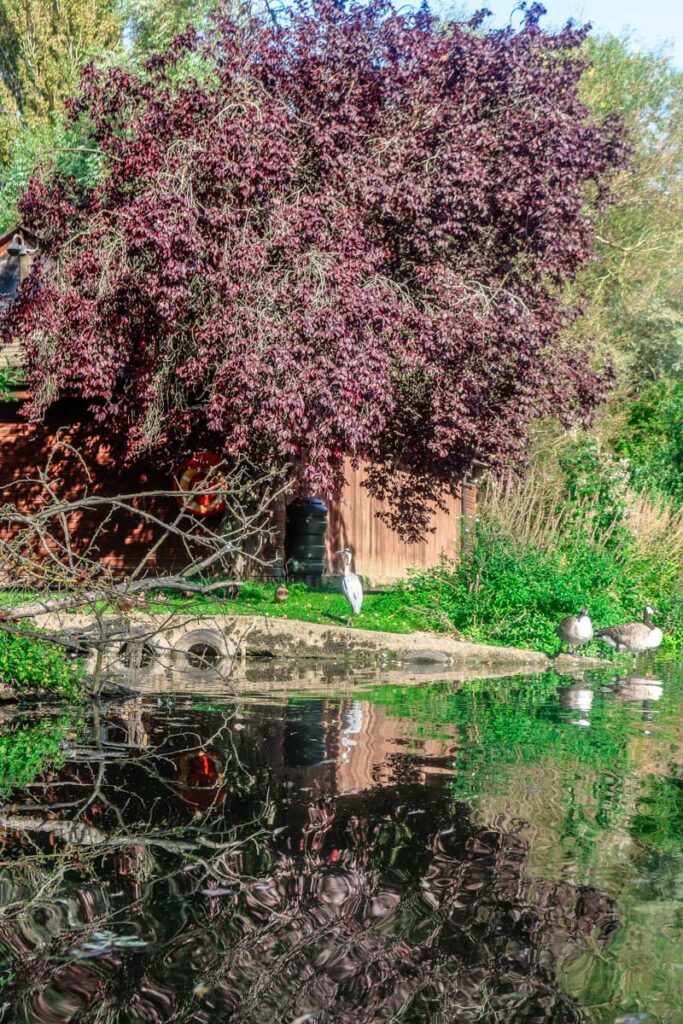 River Cherwell views